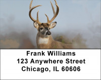 Deer Racks Address Labels | LBQBB-18