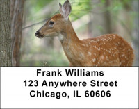 Fawns In Springtime Address Labels | LBQBB-20