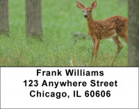 Fawns In Springtime Address Labels | LBQBB-20