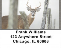 Whitetail Deer Address Labels | LBQBB-21