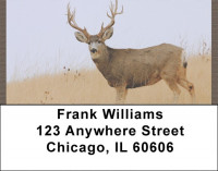 Whitetail Deer Address Labels | LBQBB-21
