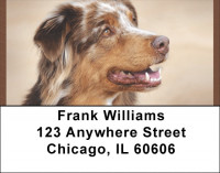 Australian Shepherd Address Labels | LBQBB-23