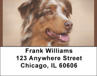 Australian Shepherd Address Labels | LBQBB-23