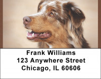 Australian Shepherd Address Labels | LBQBB-23
