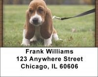 Basset Hound Puppy Address Labels | LBQBB-24