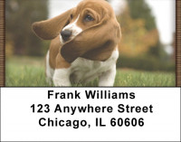 Basset Hound Puppy Address Labels | LBQBB-24