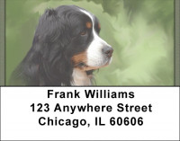 Bernese Mountain Dogs Address Labels | LBQBB-25