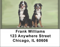 Bernese Mountain Dogs Address Labels | LBQBB-25