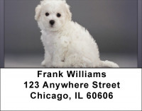 Bichon Address Labels | LBQBB-26