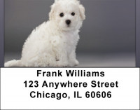 Bichon Address Labels | LBQBB-26