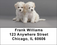 Bichon Puppies Address Labels | LBQBB-27