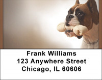 Boxer Fun Address Labels | LBQBB-30