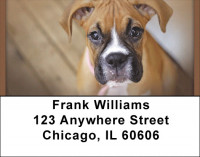 Boxer Fun Address Labels | LBQBB-30