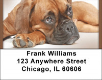 Boxer Fun Address Labels | LBQBB-30