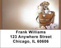 Boxer Fun Address Labels | LBQBB-30