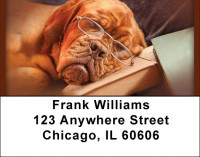 Teaching An Old Dog Address Labels | LBQBB-31