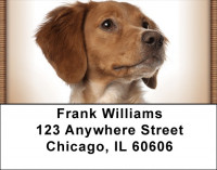 Bright Eyed Brittany Spaniel Address Labels | LBQBB-32