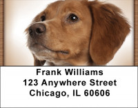 Bright Eyed Brittany Spaniel Address Labels | LBQBB-32