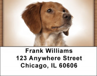 Bright Eyed Brittany Spaniel Address Labels | LBQBB-32