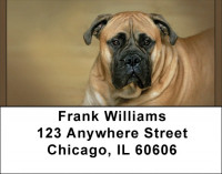 Bull Mastiff Address Labels | LBQBB-33