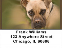 Bull Mastiff Address Labels | LBQBB-33