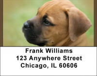 Bull Mastiff Address Labels | LBQBB-33