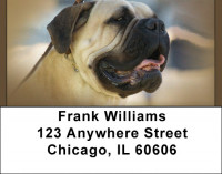 Bull Mastiff Address Labels | LBQBB-33