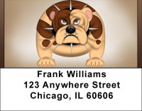 Don't Mess With Me Address Labels | LBQBB-34