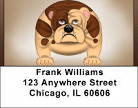 Don't Mess With Me Address Labels | LBQBB-34