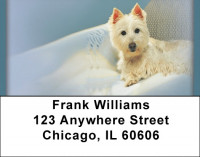 Adorable Cairn Terrier Address Labels | LBQBB-35