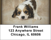 Cavachon Puppy Address Labels | LBQBB-36