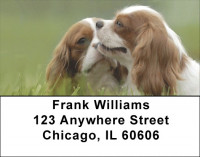 Cavalier St. Charles Address Labels | LBQBB-37