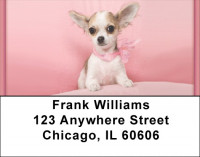 Chihuahua Princess Address Labels | LBQBB-39