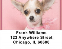 Chihuahua Princess Address Labels | LBQBB-39