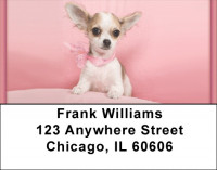 Chihuahua Princess Address Labels | LBQBB-39