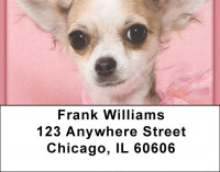 Chihuahua Princess Address Labels | LBQBB-39