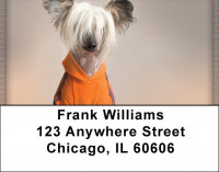 Chinese Crested Address Labels | LBQBB-40