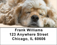 Sleeping Cocker Spaniel Address Labels | LBQBB-41