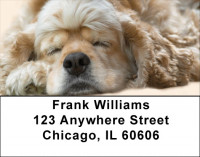 Sleeping Cocker Spaniel Address Labels | LBQBB-41