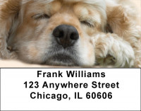 Sleeping Cocker Spaniel Address Labels | LBQBB-41