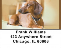 Dachshund Darlings Address Labels | LBQBB-46