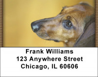 Darling Dachshunds Address Labels | LBQBB-47