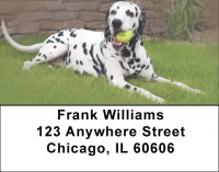 Dalmatians Address Labels | LBQBB-50