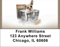 English Bulldogs Address Labels | LBQBB-51