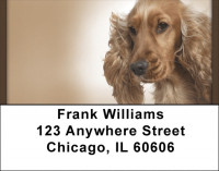 English Cocker Spaniel Address Labels | LBQBB-52