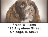 English Springer Spaniels Address Labels | LBQBB-53