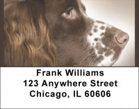 English Springer Spaniels Address Labels | LBQBB-53