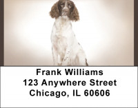 English Springer Spaniels Address Labels | LBQBB-53