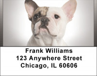 French Bulldogs Address Labels | LBQBB-54