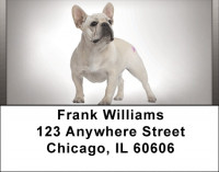 French Bulldogs Address Labels | LBQBB-54